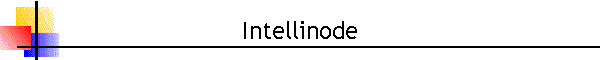 Intellinode